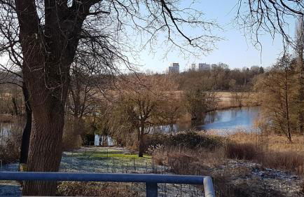 Wasserblick Stadtidyll 3 Zimmer Apartment Lübeck - Foto 8