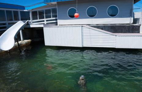 Surfside Beach House near Ancient Redwoods - Foto 7