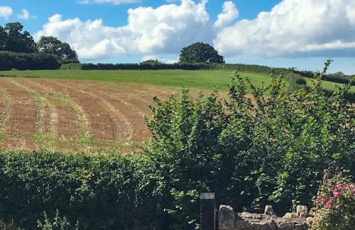 The Stable - Foto 14