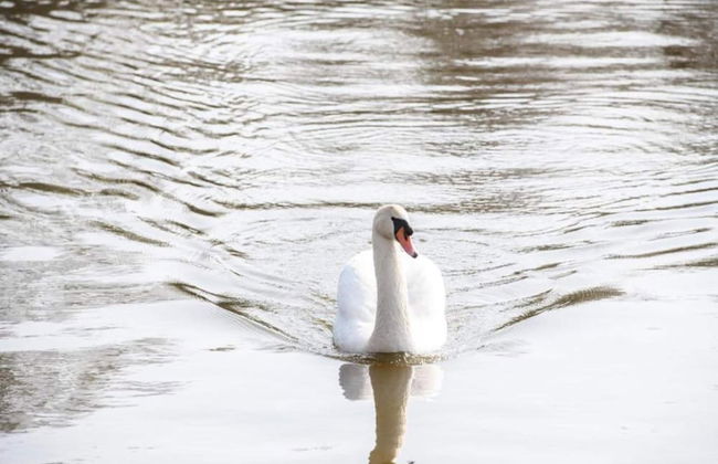 Waterfront Family Retreat - Foto 25