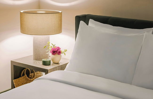 Sonder by Marriott Bonvoy The Schaeffer Apartments French Quarter - Photo 12