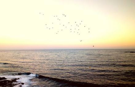 Salinetas Terraza Playa - Foto 23