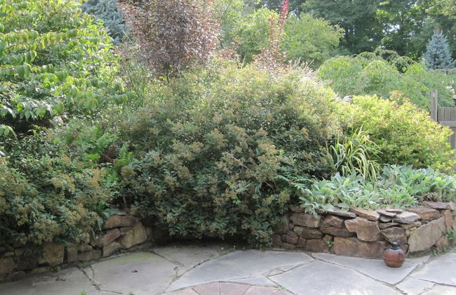 Garrison Gem Pool Sauna Hot Tub Steam - Foto 31