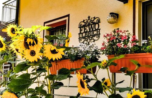 FeWo Ulbrich Langenstadt - Foto 42