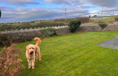 Ty'n Rardd Farmhouse Mountain Views, Secure Garden - Photo 51