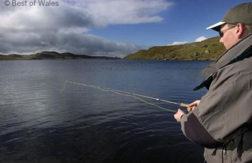 2 Bed in Bala oc-82212 - Photo 24