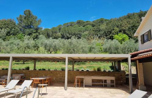 Tenuta Fontespadini - Foto 26