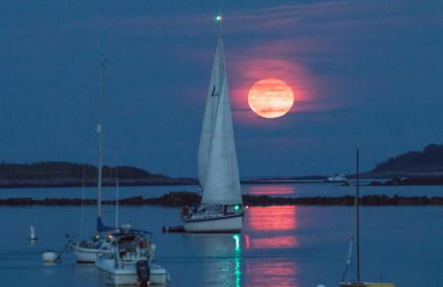 Beach Cottage - Foto 31