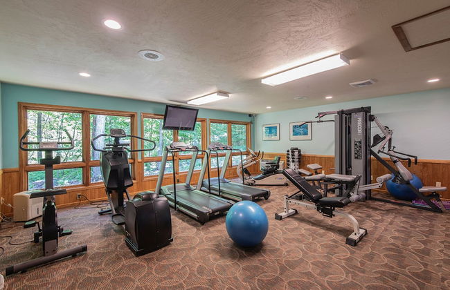 The Rushes - Foto 31