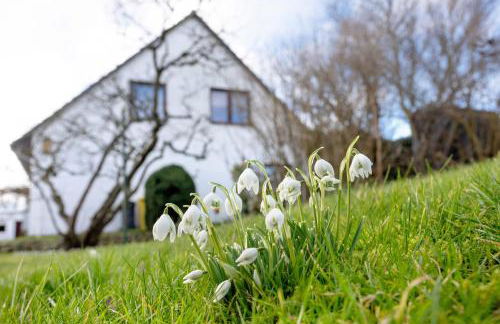 Ferienwohnung Brauer - Foto 19