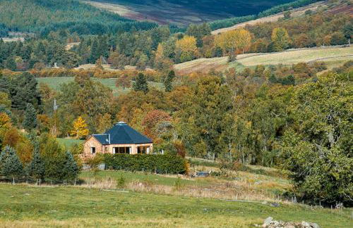 Silver Birch Treehouse - Foto 18