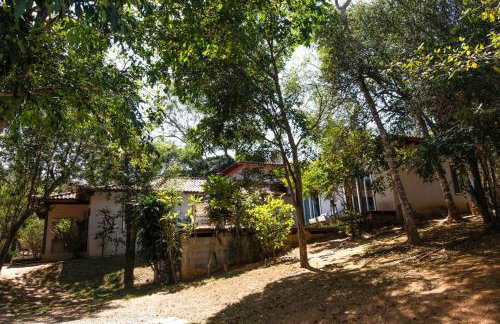 Canto dos pássaros - Foto 20