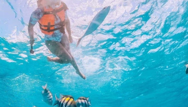 Veremos hermosas especies que viven en las aguas cristalinas