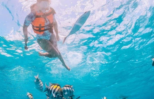 Snorkeling a Los Arcos de Mismaloya - Foto 3