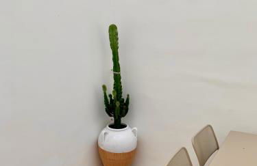 Bianco Antico Salento - Foto 2