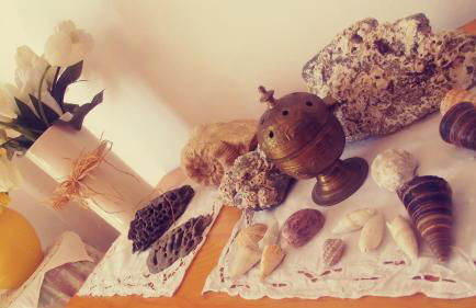 Caseta de pescadors a les cales de Colera, 2ª linea de mar - Foto 54