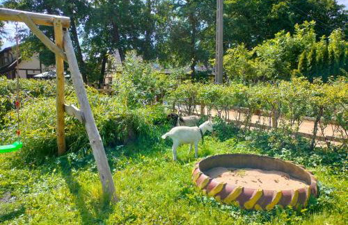 Pokoje Gościnne Danusia - Foto 8