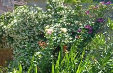 Maison à la Campagne - Foto 42