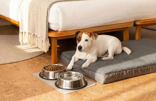 The Lisbonaire Apartments - Photo 32