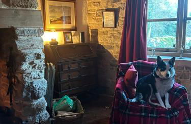 The Cartshed - Photo 27