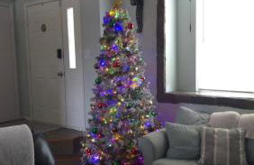 Colorado Cottage W/Mountain View - Foto 31