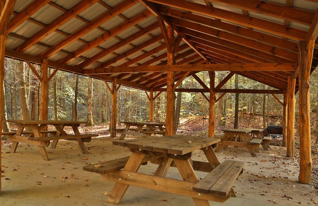 Smoky Mountain Getaway - Five Bedroom Cabin - Foto 27