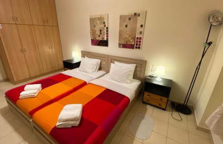 Patras Palm Tree - Foto 30