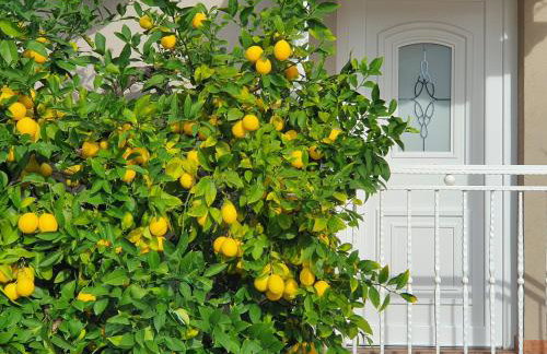 Luxury New !!! Apartment One and Only with terrace & free bikes - Foto 24