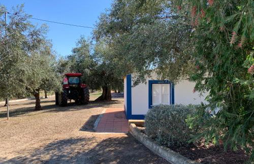 Quinta do Céu Tranquilidade e Piscina no Alentejo - Foto 50