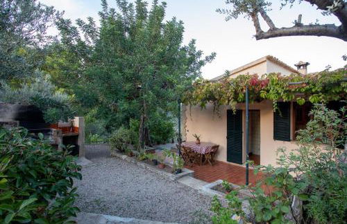 OLIVAR de S’HERETAT Trekking/ruta GR-221 (ETV/2099) - Foto 16