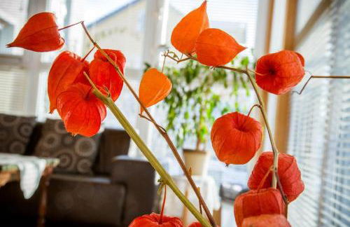 Ferienwohnung "Gaby" - Foto 12