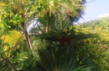 Pergolato suite - Foto 27