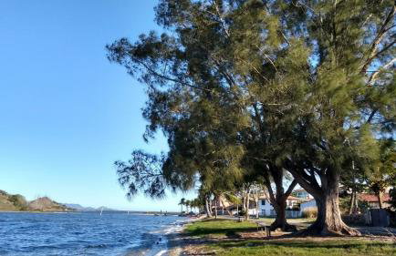 Apartamento Cobertura - Foto 41