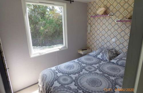 MAS MAURANE-Le Platane avec SPA privé aux portes d'ARLES - Foto 24