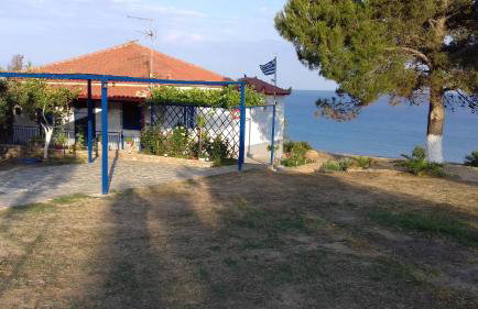 Margarita House - Photo 24