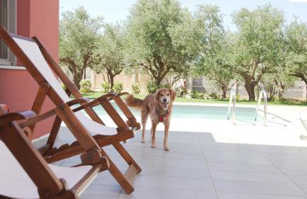 Olive Garden Villas - Foto 64