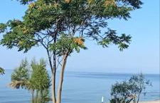 Pomegranate Seaside Corner - Foto 22