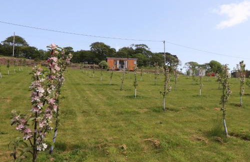 Little Pip - Foto 25