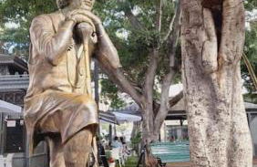 Enjoy Carnanal with extreme confort 4p - Foto 35