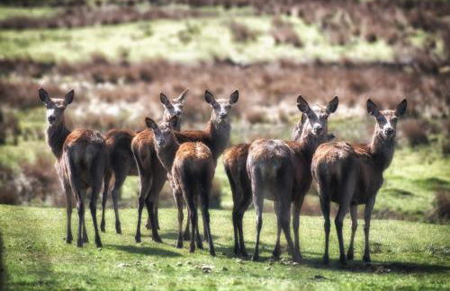 Anroach Farm Peak District - Photo 36
