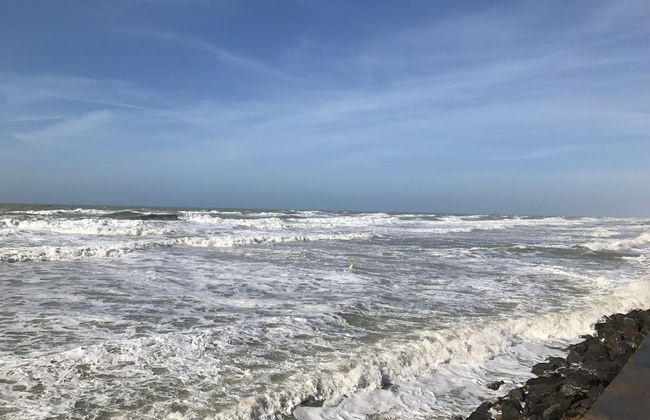 Villa Fétuque Crin D'ours à Merlimont - Foto 30