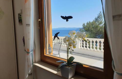 209 Zavala Ferienwohnung - Foto 24