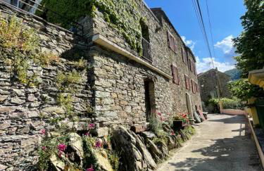 Maison de village 3 chambres 2 SDB avec terrasse & jardin - Proche St Florent - Foto 32