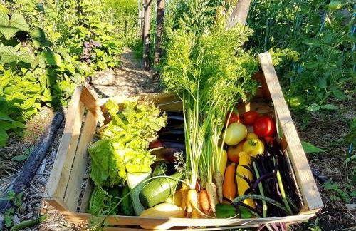 La Ferme De Chalas - Foto 44