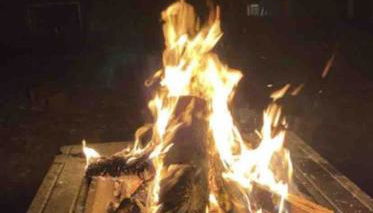 Sunny & Spacious 2BD 1BA WFH Apt-Huge Yard & Patio - Foto 2