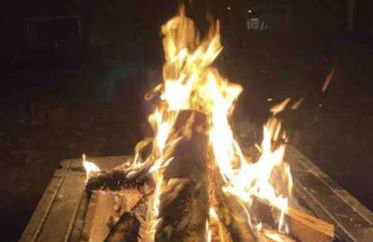 Sunny & Spacious 2BD 1BA WFH Apt-Huge Yard & Patio - Foto 2