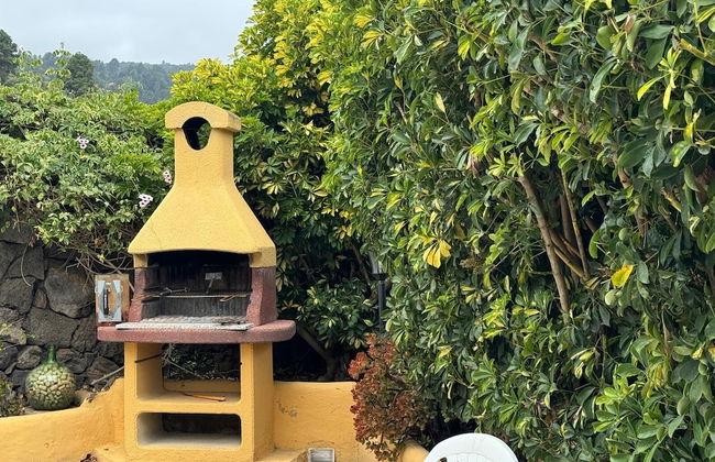 Oasis Hill Botanical Garden - Foto 38