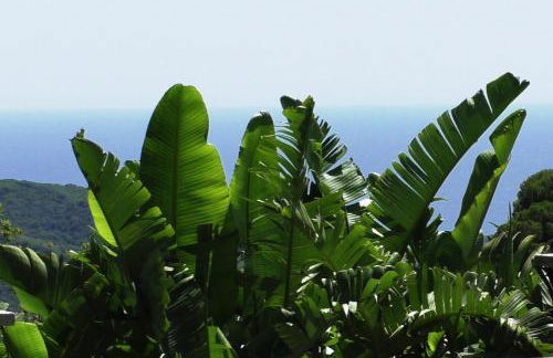 Sea view, Wonderful pool, Nature, Peaceful & AC - Foto 24