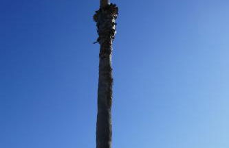 Bel Appartement accès direct mer; L'Almanarre, HYERES - Foto 7