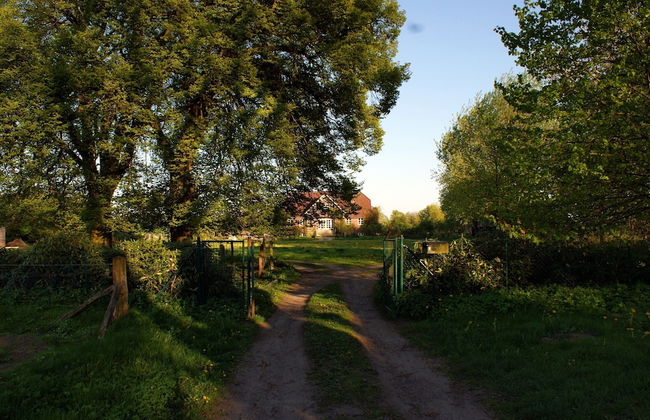 Wohnung in Semlow mit Garten und Terrasse - Foto 26
